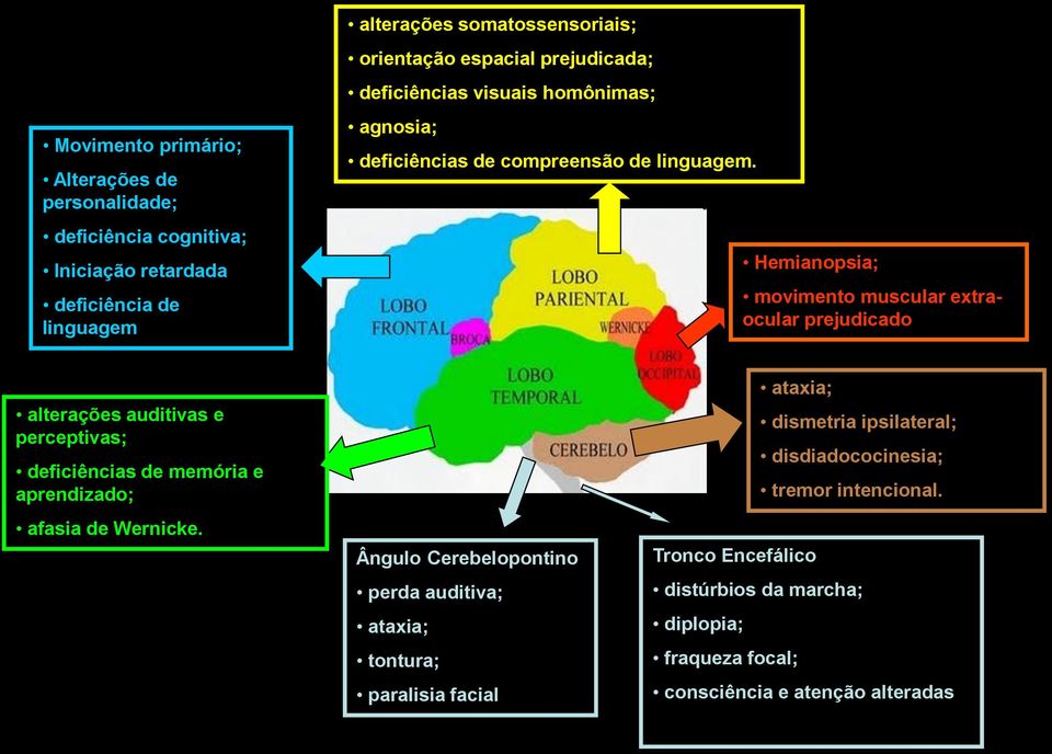 Hemianopsia; movimento muscular extraocular prejudicado alterações auditivas e perceptivas; deficiências de memória e aprendizado; afasia de Wernicke.