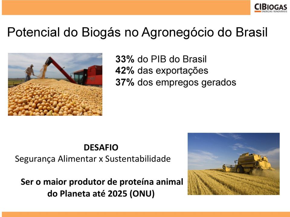 DESAFIO Segurança Alimentar x Sustentabilidade Ser o