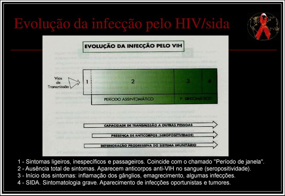 Aparecem anticorpos anti-vih no sangue (seropositividade).