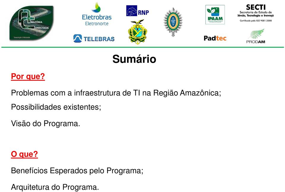 Amazônica; Possibilidades existentes; Visão do