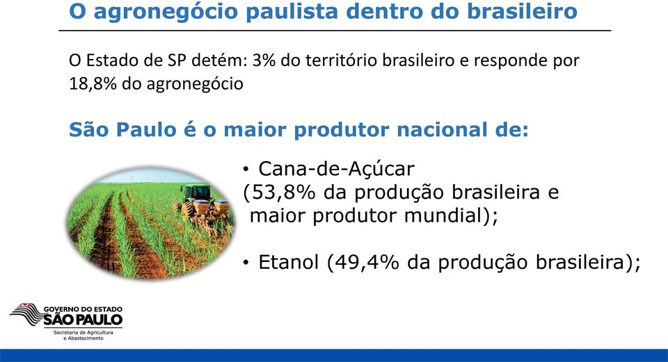 é o maior produtor nacional de: Cana-de-Açúcar (53,8% da produção