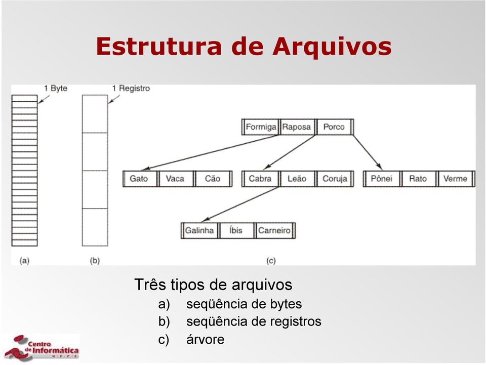 seqüência de bytes b)