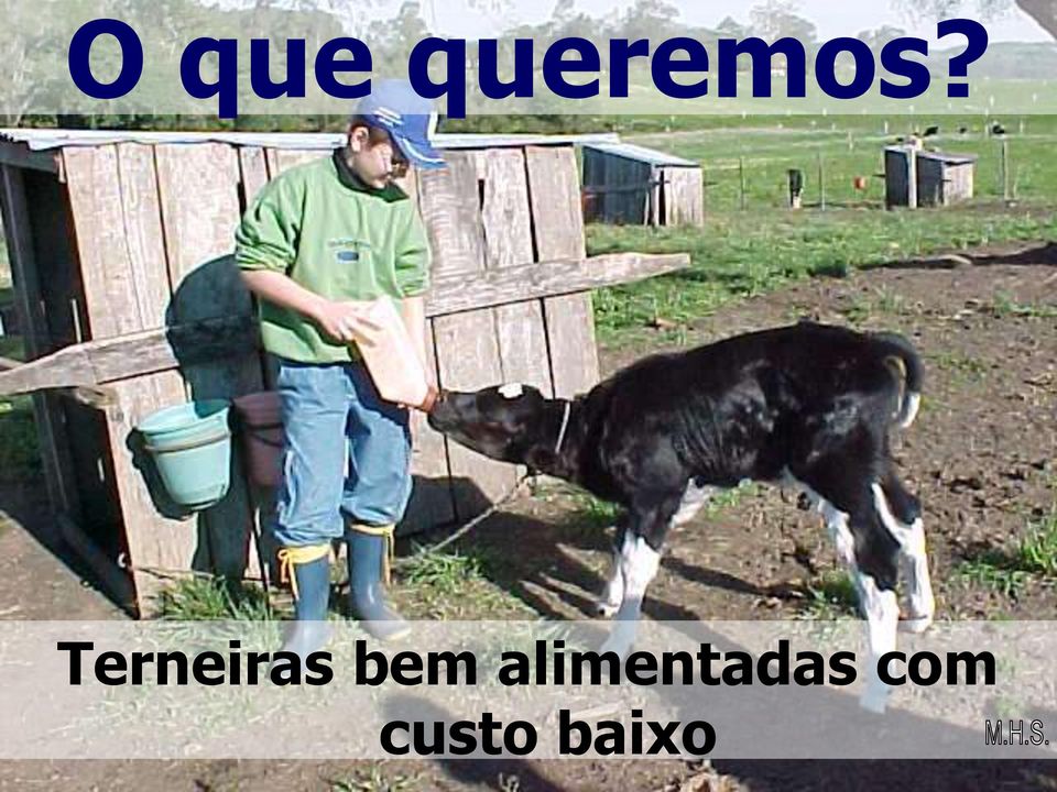 alimentadas