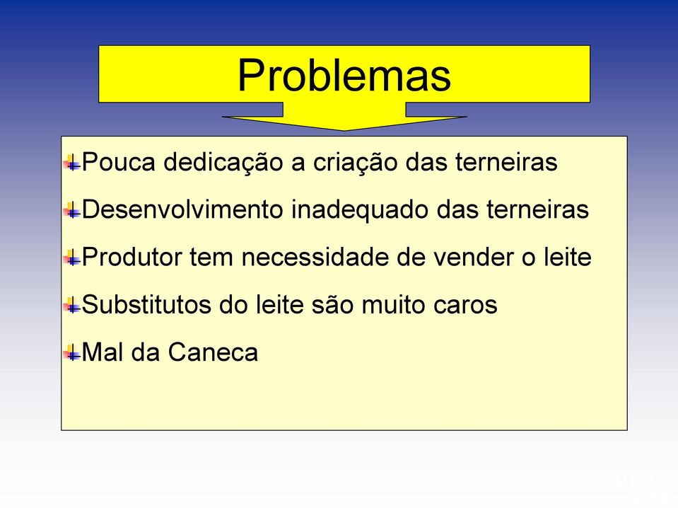 terneiras Produtor tem necessidade de vender