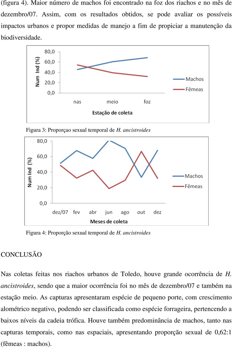 ancistroides Figura 4: Proporção sexual temporal de H. ancistroides CONCLUSÃO Nas coletas feitas nos riachos urbanos de Toledo, houve grande ocorrência de H.