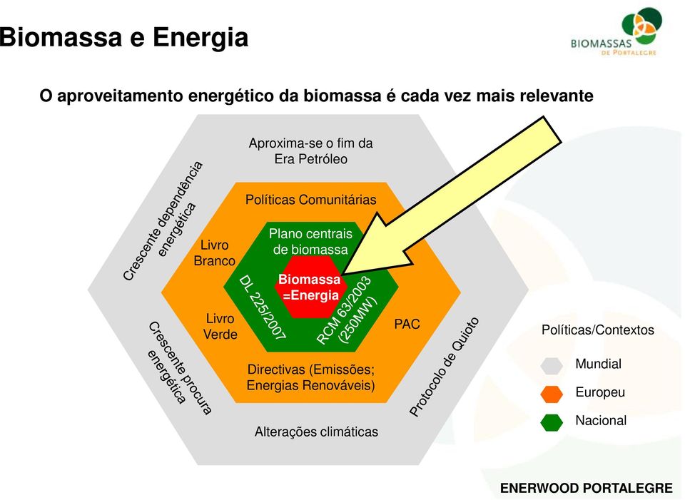 Livro Verde Plano centrais de biomassa Biomassa =Energia Directivas (Emissões;