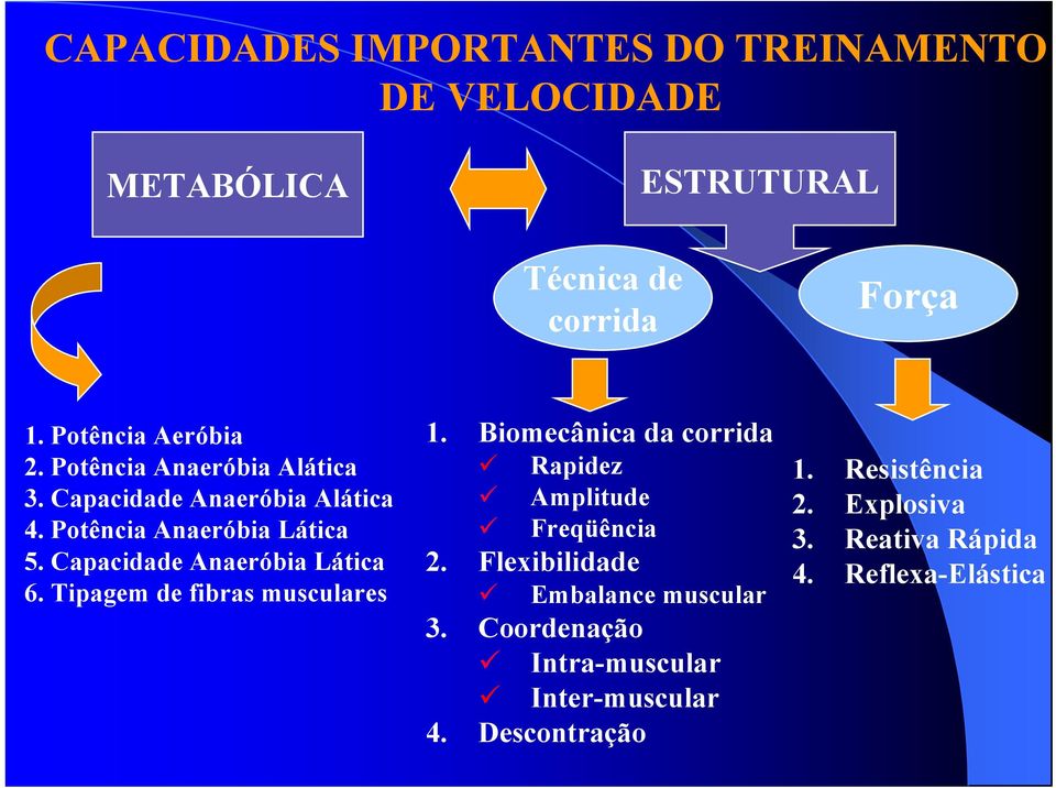 Tipagem de fibras musculares 1. Biomecânica da corrida Rapidez Amplitude Freqüência 2. Flexibilidade Embalance muscular 3.