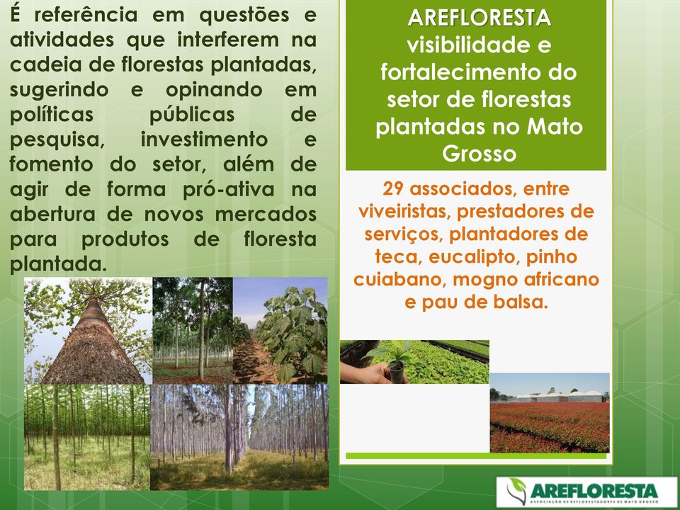 produtos de floresta plantada.