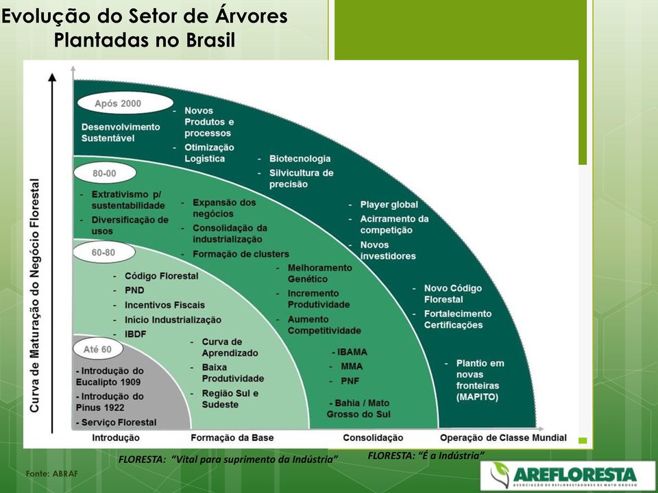 FLORESTA: Vital para suprimento