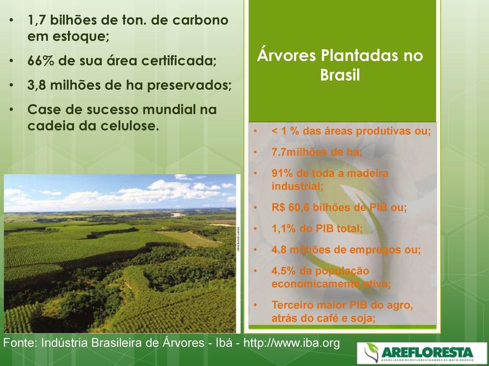 celulose. Árvores Plantadas no Brasil < 1 % das áreas produtivas ou; 7.