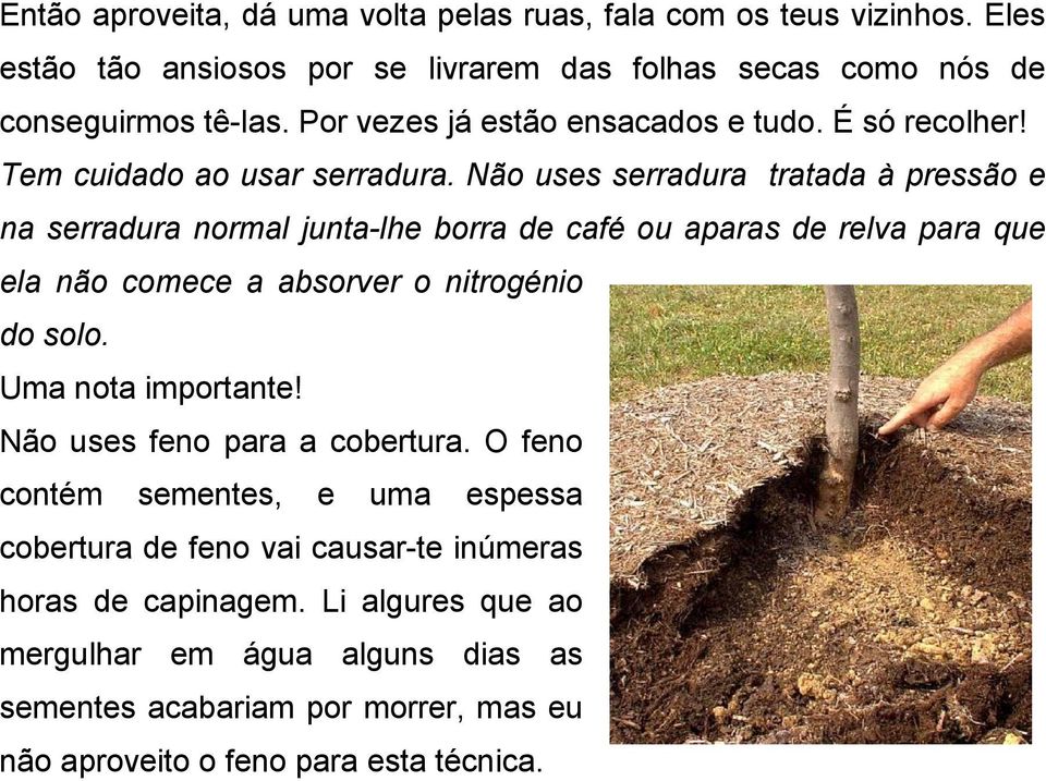 Não uses serradura tratada à pressão e na serradura normal junta-lhe borra de café ou aparas de relva para que ela não comece a absorver o nitrogénio do solo.