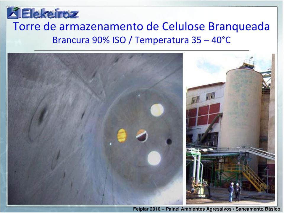 Celulose Branqueada