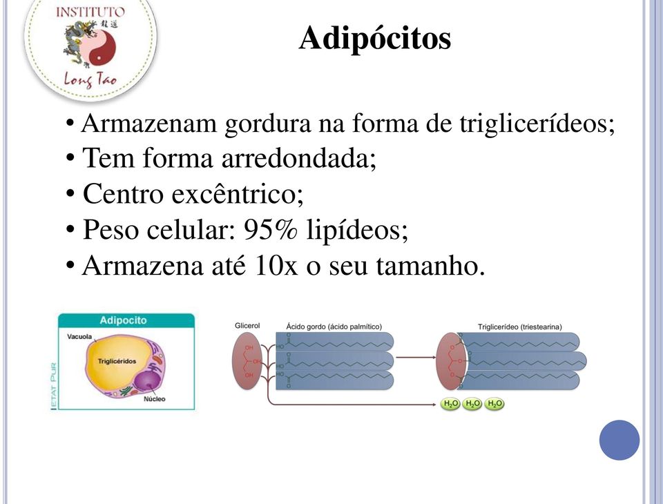 arredondada; Centro excêntrico; Peso