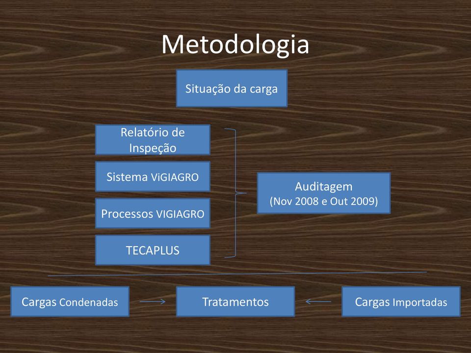 VIGIAGRO Auditagem (Nov 2008 e Out 2009)