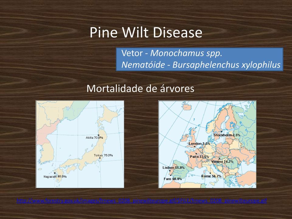 de árvores http://www.forestry.gov.