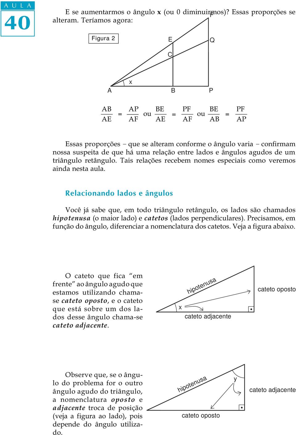 lados e ângulos agudos de um triângulo retângulo. Tais relações recebem nomes especiais como veremos ainda nesta aula.