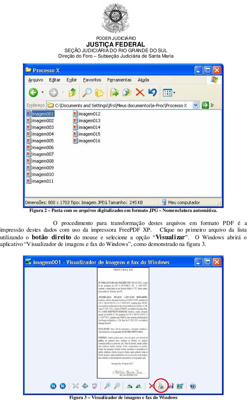 FreePDF XP. Clique no primeiro arquivo da lista utilizando o botão direito do mouse e selecione a opção Visualizar.