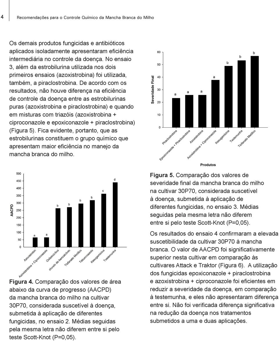 De acordo com os resultados, não houve diferença na eficiência de controle da doença entre as estrobilurinas puras (azoxistrobina e piraclostrobina) e quando em misturas com triazóis (azoxistrobina +