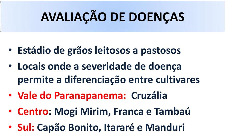 entre cultivares Vale do Paranapanema: Cruzália Centro: