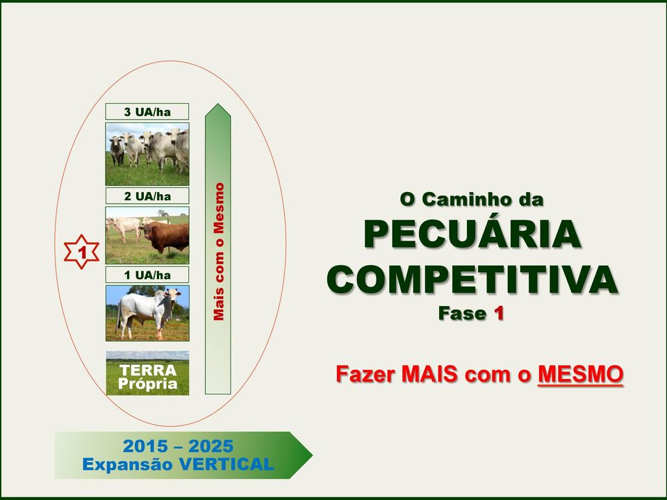 COMPETITIVA Fase 1 TERRA Própria