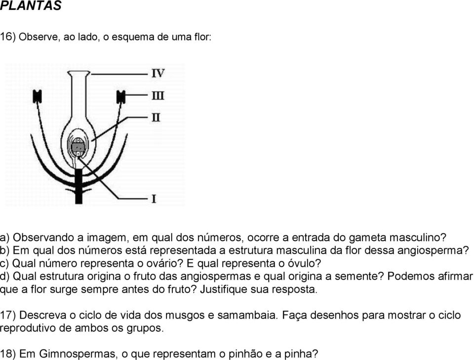 d) Qual estrutura origina o fruto das angiospermas e qual origina a semente? Podemos afirmar que a flor surge sempre antes do fruto? Justifique sua resposta.