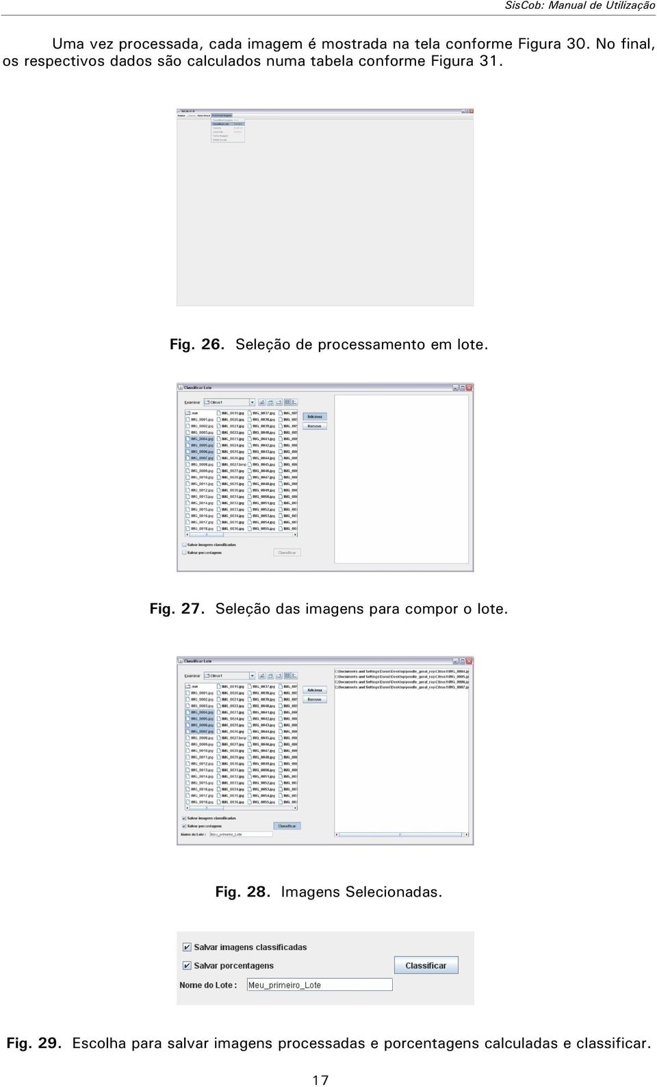 Seleção de processamento em lote. Fig. 27. Seleção das imagens para compor o lote. Fig. 28.