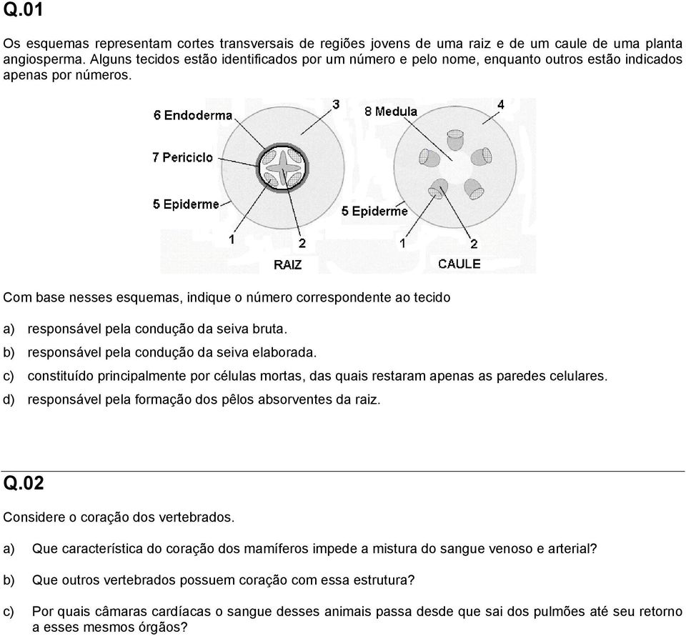 Com base nesses esquemas, indique o número correspondente ao tecido a) responsável pela condução da seiva bruta. b) responsável pela condução da seiva elaborada.