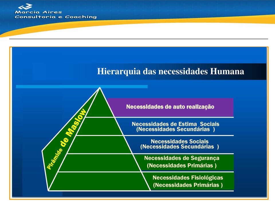 Necessidades Sociais (Necessidades Secundárias ) Necessidades de