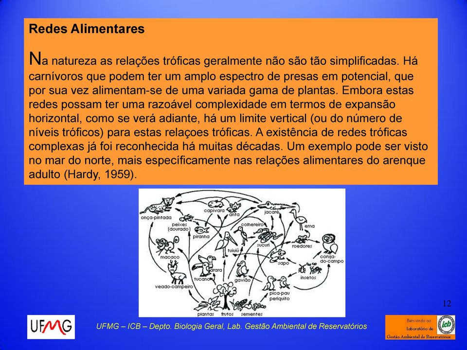 Embora estas redes possam ter uma razoável complexidade em termos de expansão horizontal, como se verá adiante, há um limite vertical (ou do número de níveis tróficos) para