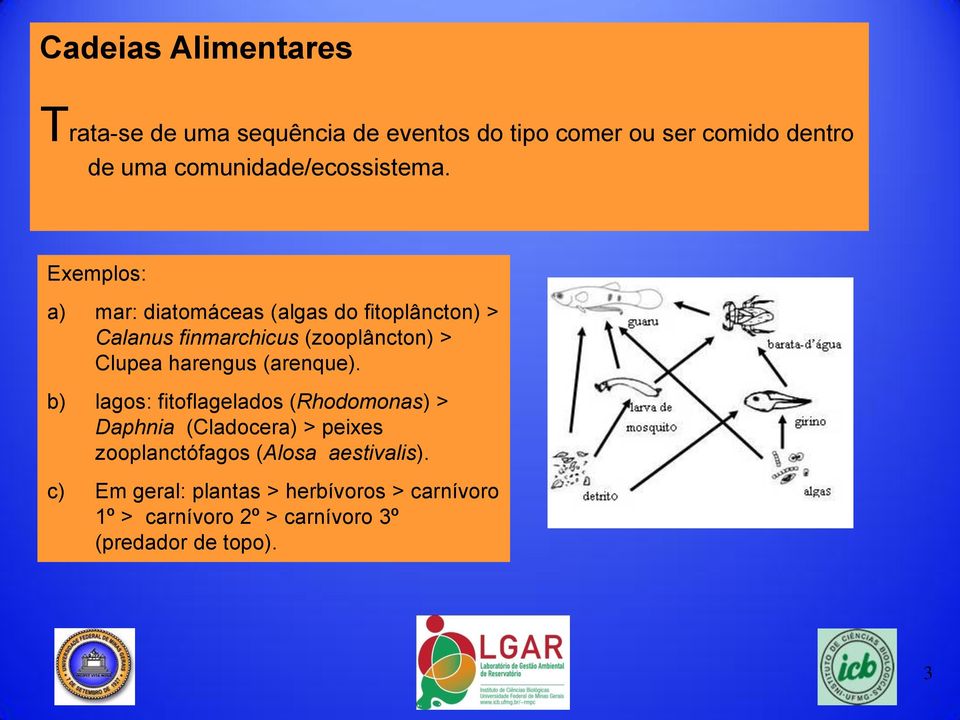 Exemplos: a) mar: diatomáceas (algas do fitoplâncton) > Calanus finmarchicus (zooplâncton) > Clupea harengus