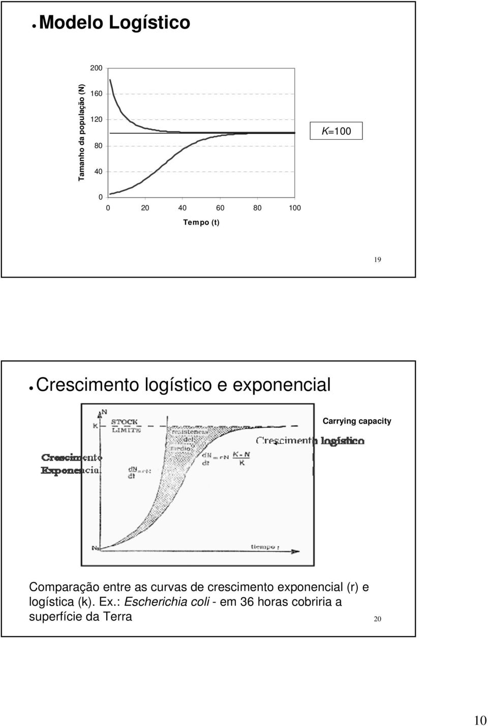 capacity Comparação entre as curvas de crescimento exponencial (r) e