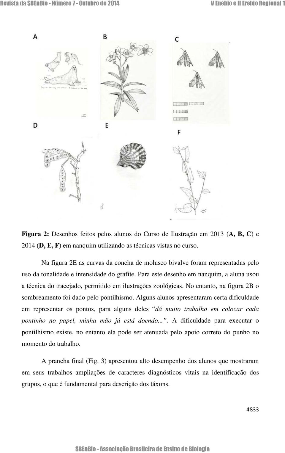 Para este desenho em nanquim, a aluna usou a técnica do tracejado, permitido em ilustrações zoológicas. No entanto, na figura 2B o sombreamento foi dado pelo pontilhismo.