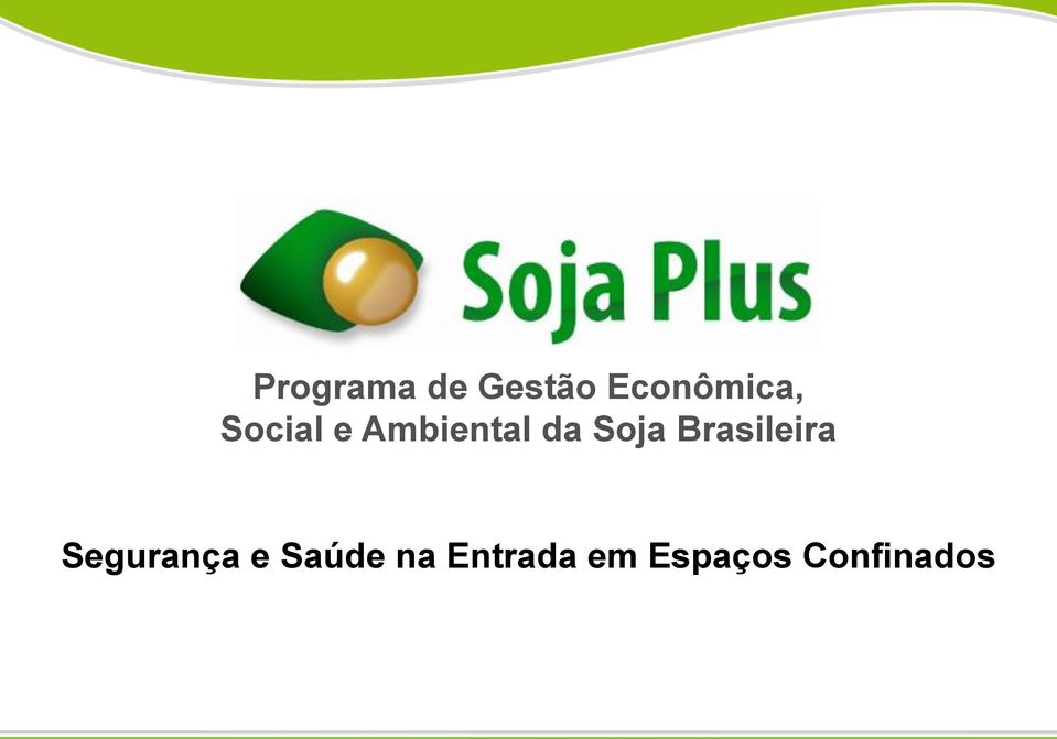 Brasileira Segurança e Saúde