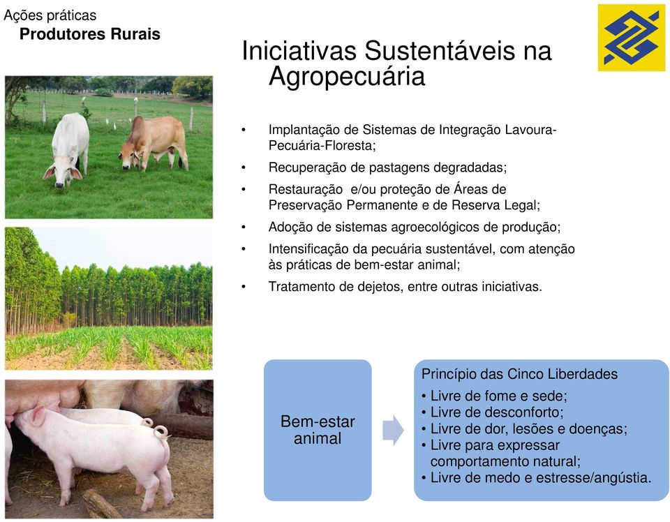 Intensificação da pecuária sustentável, com atenção às práticas de bem-estar animal; Tratamento de dejetos, entre outras iniciativas.