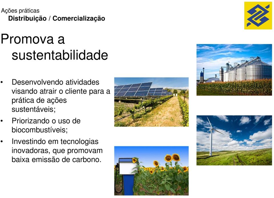 para a prática de ações sustentáveis; Priorizando o uso de