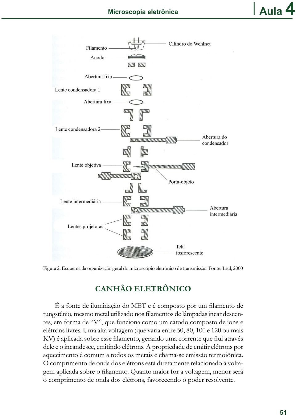 funciona como um cátodo composto de íons e elétrons livres.