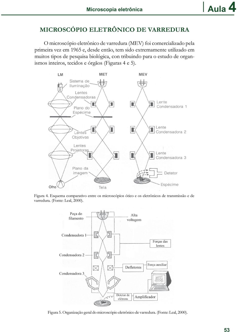 de organismos inteiros, tecidos e órgãos (Figuras 4 e 5). Figura 4.