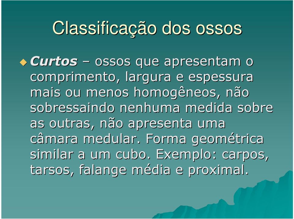 medida sobre as outras, não apresenta uma câmara medular.