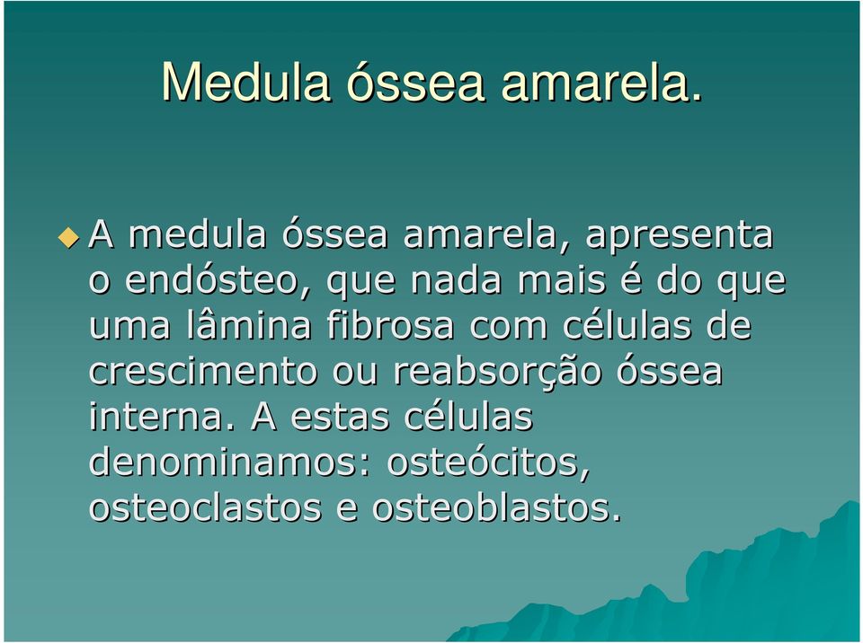 mais é do que uma lâmina fibrosa com células de