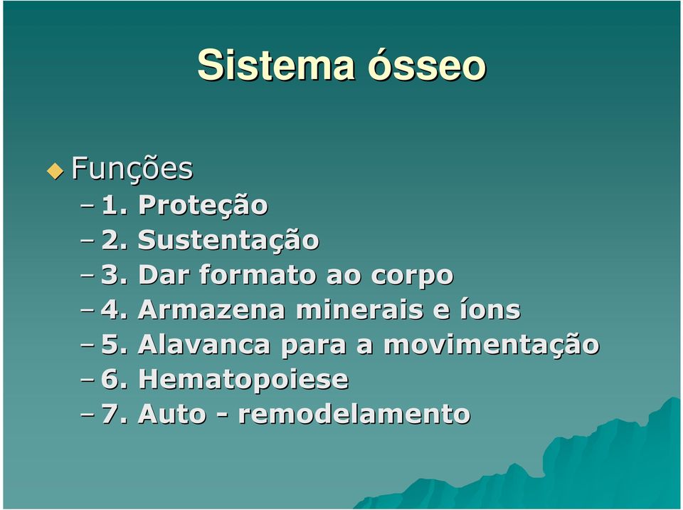 Armazena minerais e íons 5.