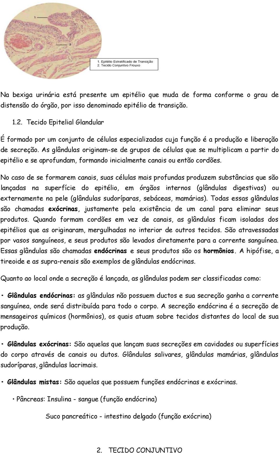 As glândulas originam-se de grupos de células que se multiplicam a partir do epitélio e se aprofundam, formando inicialmente canais ou então cordões.