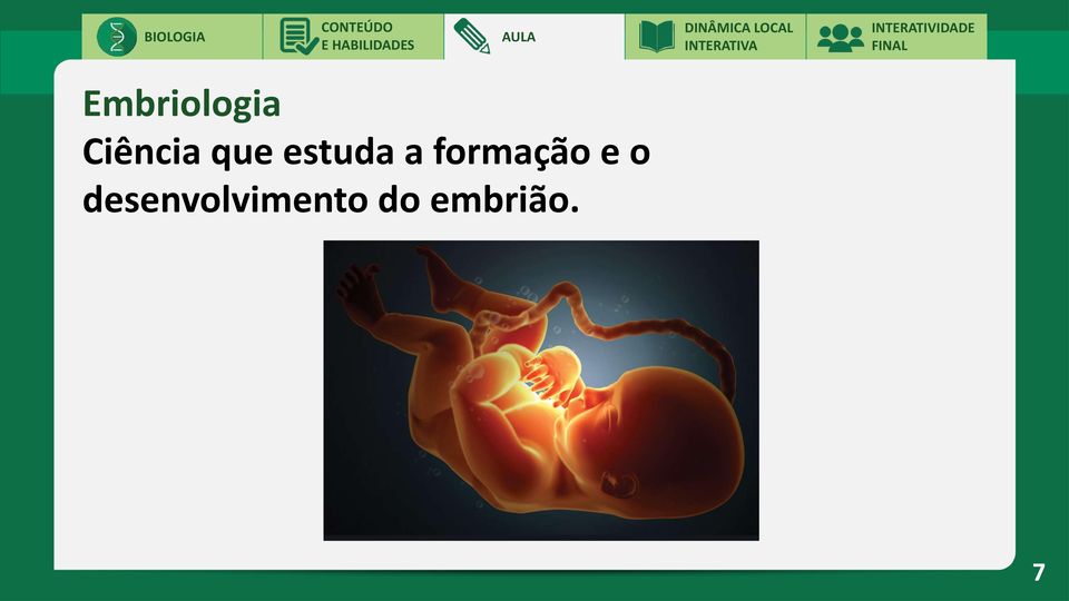 a formação e o