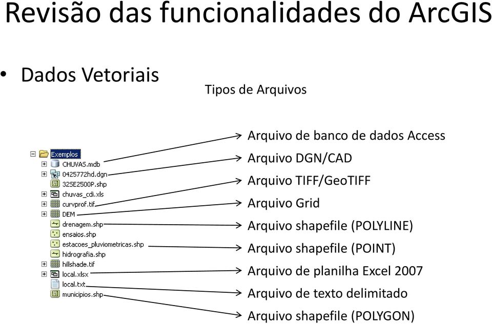 Arquivo Grid Arquivo shapefile (POLYLINE) Arquivo shapefile (POINT)