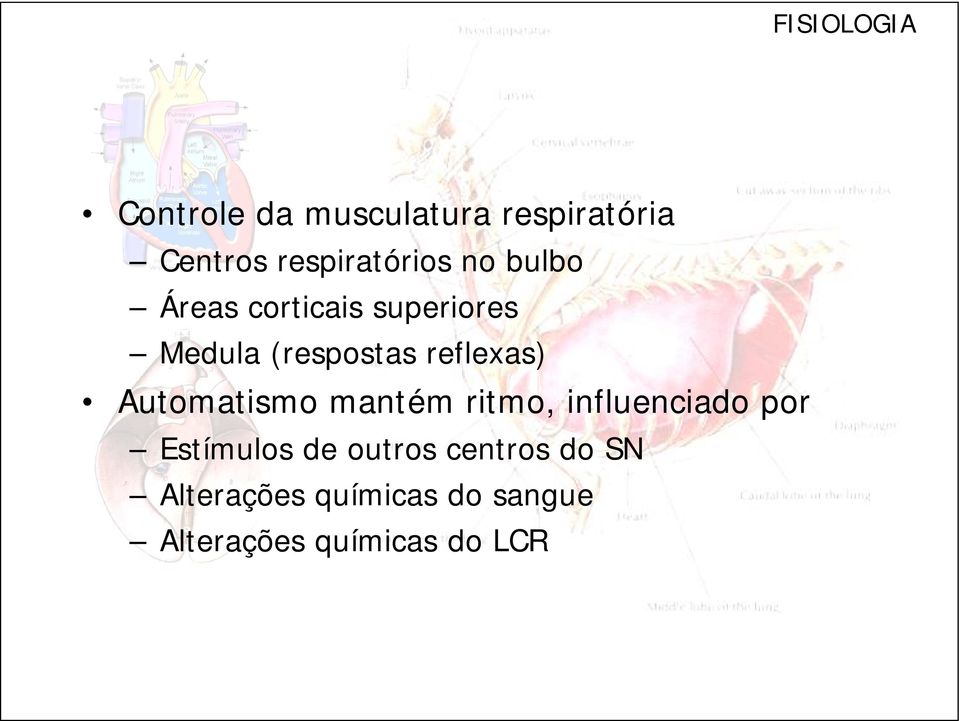 Automatismo mantém ritmo, influenciado por Estímulos de outros