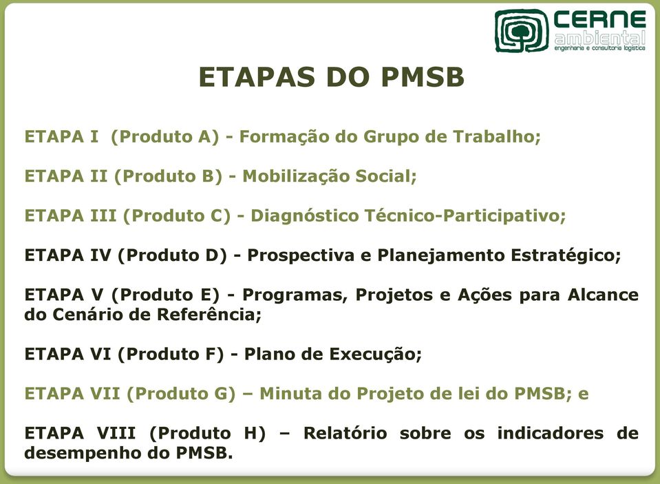 (Produto E) - Programas, Projetos e Ações para Alcance do Cenário de Referência; ETAPA VI (Produto F) - Plano de Execução;