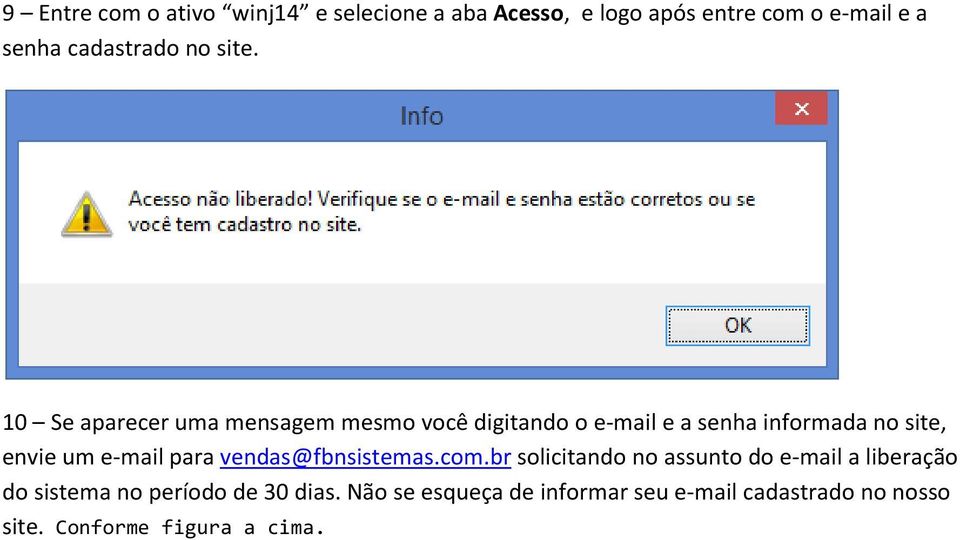 10 Se aparecer uma mensagem mesmo você digitando o e-mail e a senha informada no site, envie um e-mail