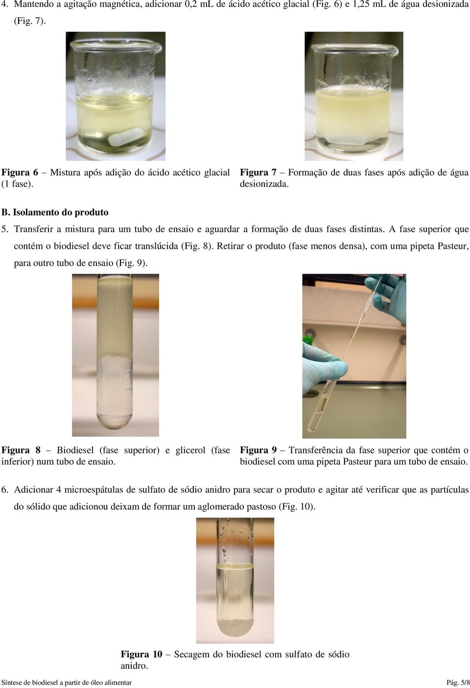 A fase superior que contém o biodiesel deve ficar translúcida (Fig. 8). Retirar o produto (fase menos densa), com uma pipeta Pasteur, para outro tubo de ensaio (Fig. 9).