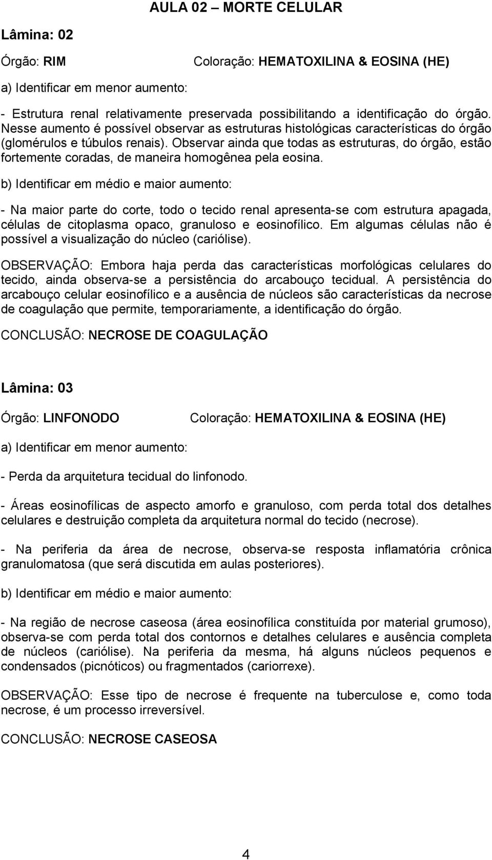 Observar ainda que todas as estruturas, do órgão, estão fortemente coradas, de maneira homogênea pela eosina.