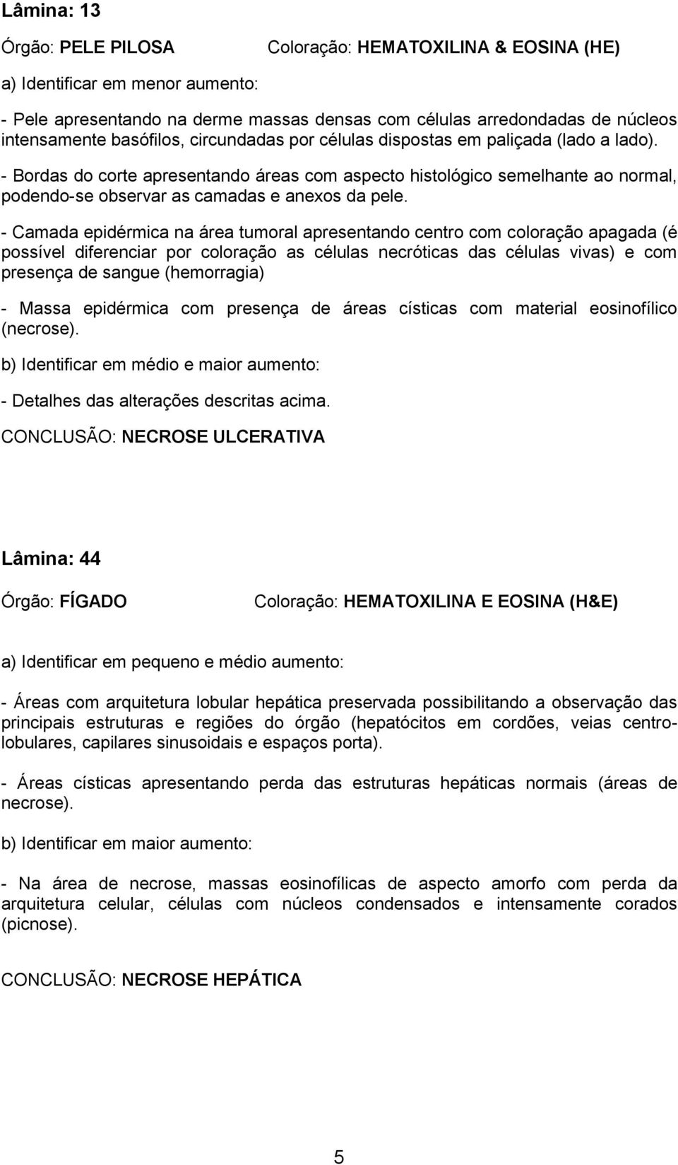 - Camada epidérmica na área tumoral apresentando centro com coloração apagada (é possível diferenciar por coloração as células necróticas das células vivas) e com presença de sangue (hemorragia) -