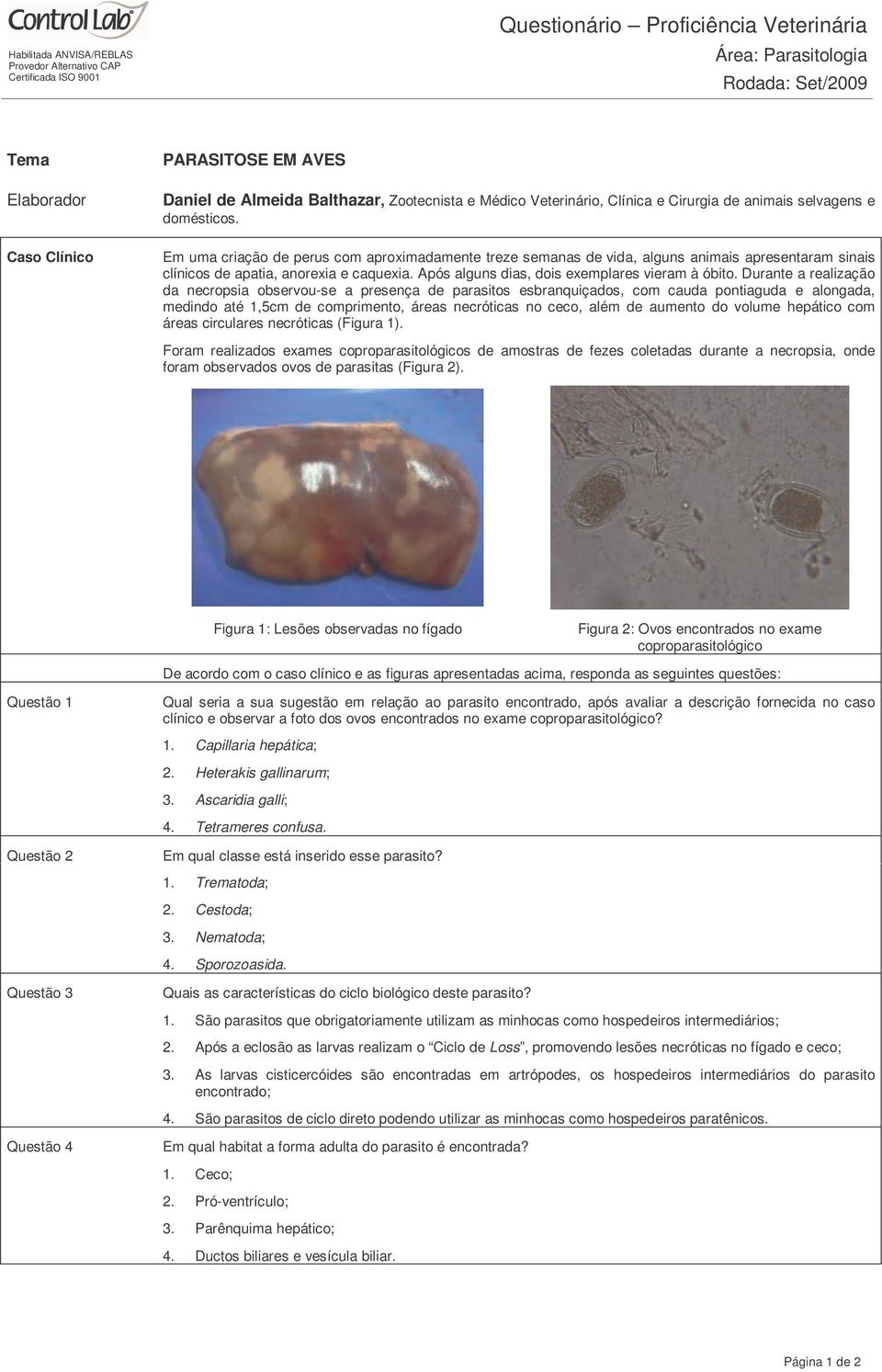 Durante a realização da necropsia observou-se a presença de parasitos esbranquiçados, com cauda pontiaguda e alongada, medindo até 1,5cm de comprimento, áreas necróticas no ceco, além de aumento do